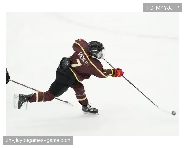 冰球世界杯北美队展现惊人速度与力量，北美冰球职业联赛总决赛